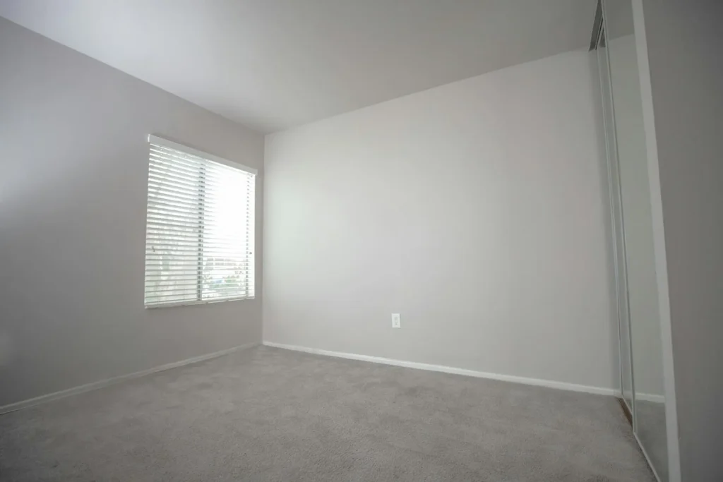 carpet cleaning in kingston property