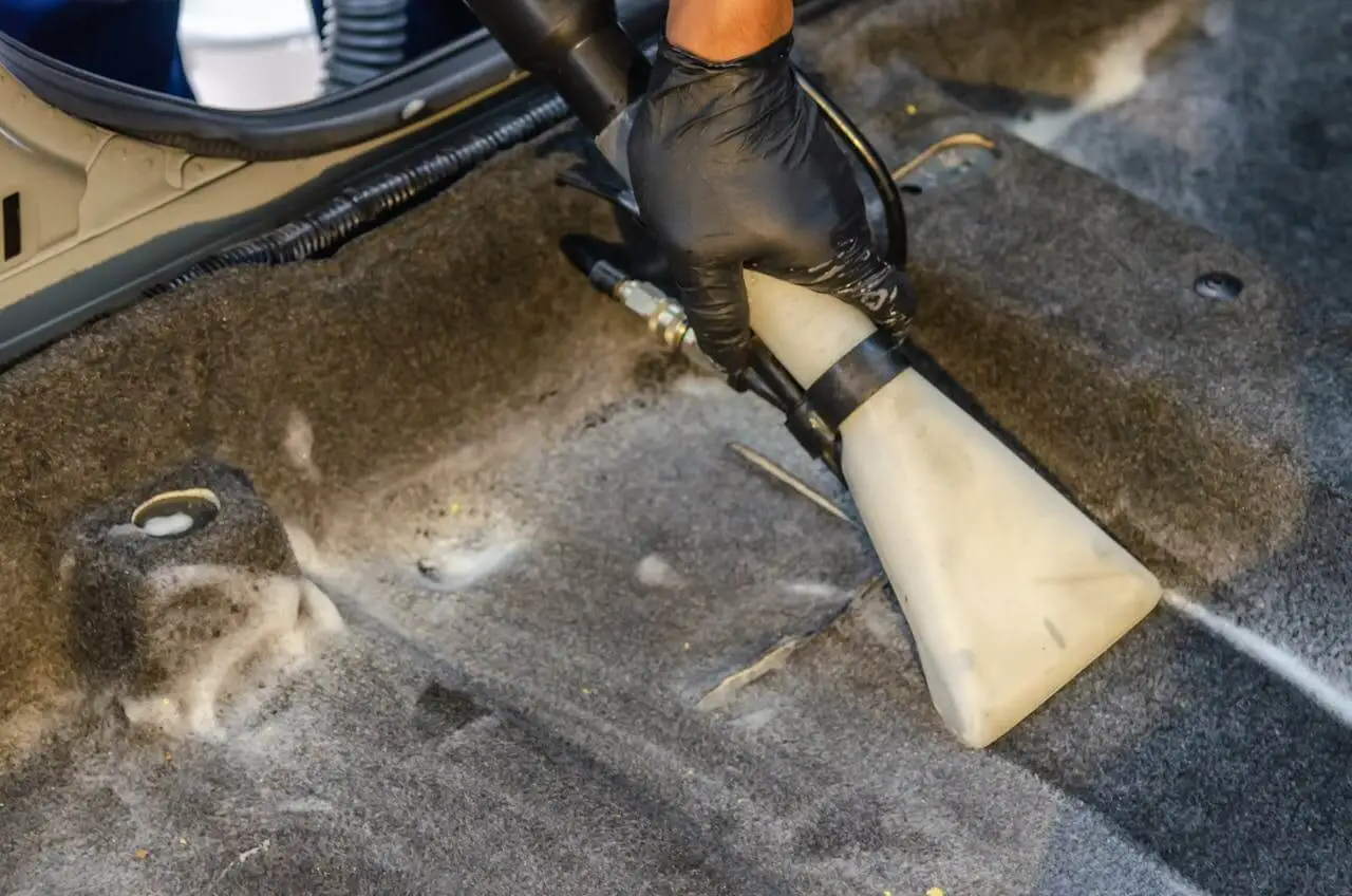 carpet cleaning in kingston property removing stains and dust from carpet