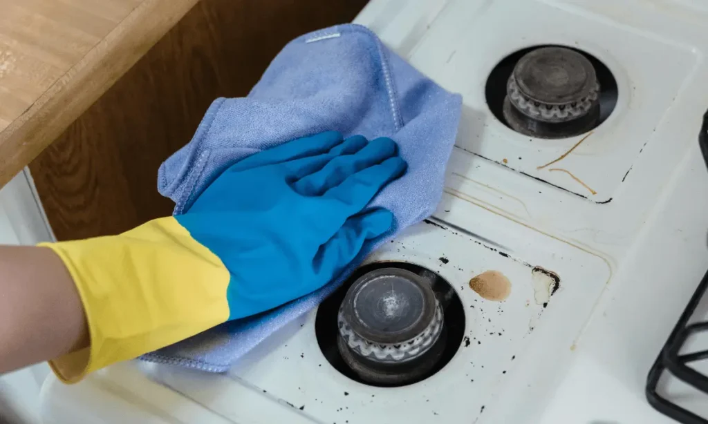 regular domestic cleaning kingston